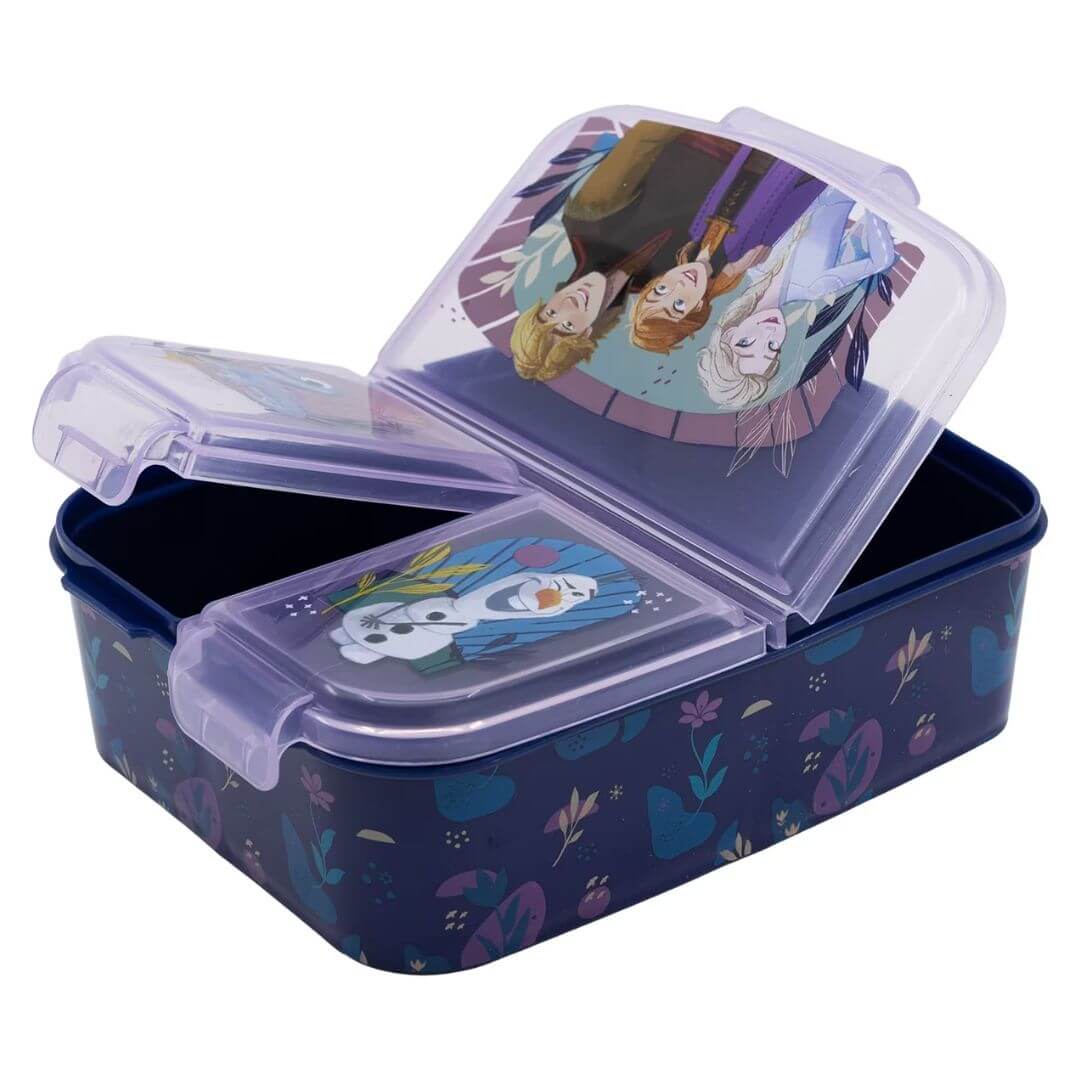 Frozen Lunch Box and Bottle Set